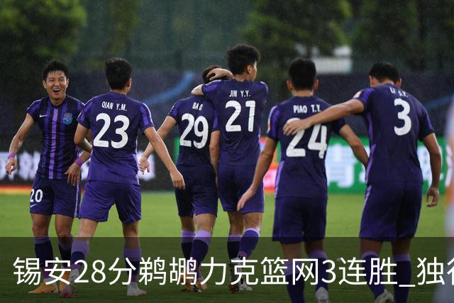 锡安28分鹈鹕力克篮网3连胜 独行侠险胜马刺
